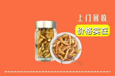 收购资讯:泰州姜堰区回收散虫草