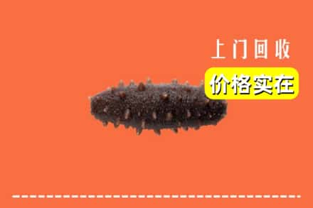 收购资讯:泰州姜堰区回收海参