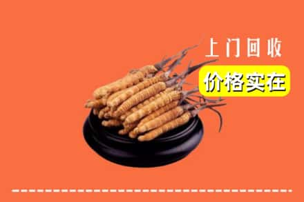 收购资讯:泰州姜堰区回收冬虫夏草